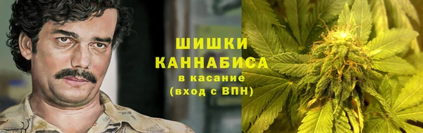 гидра Алексин