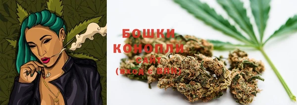 PSILOCYBIN Алзамай