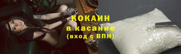 гидра Алексин