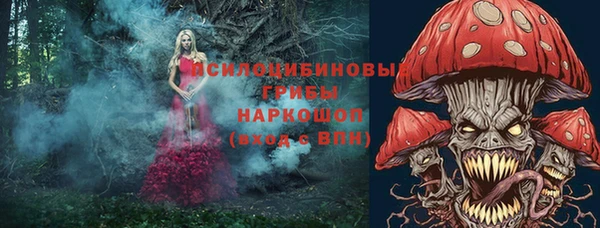 ГАЛЛЮЦИНОГЕННЫЕ ГРИБЫ Абаза