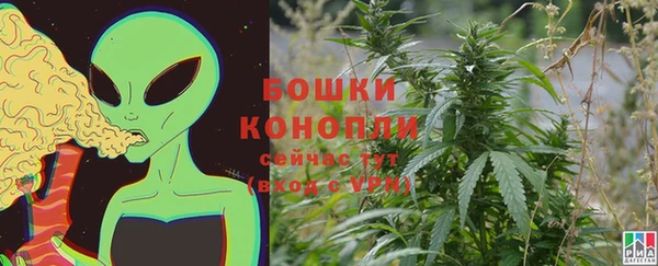 ГАЛЛЮЦИНОГЕННЫЕ ГРИБЫ Абаза