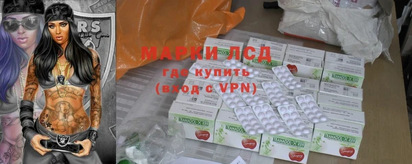 ГАЛЛЮЦИНОГЕННЫЕ ГРИБЫ Абаза