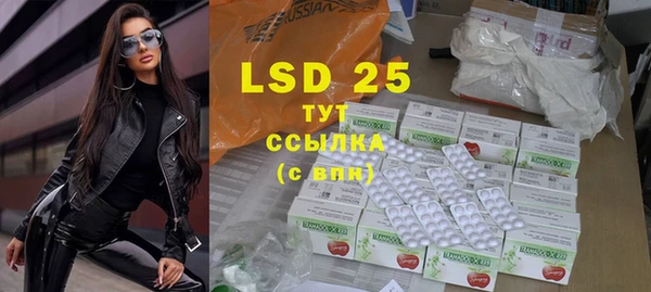 PSILOCYBIN Алзамай