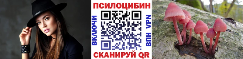 MEGA рабочий сайт  Спас-Клепики  мориарти Telegram  Псилоцибиновые грибы ЛСД 